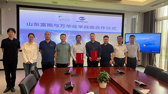 Strategic Partnership
